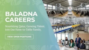 Urgent jobs at Baladna